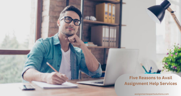 Five Reasons to Avail Assignment Help Services