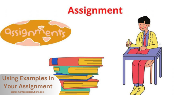 Using Examples in Your Assignment